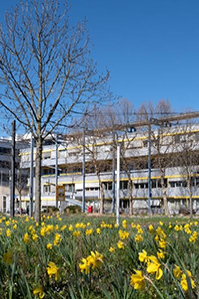 Gebäudefoto